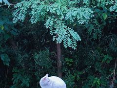 -敬亭山风景名胜区