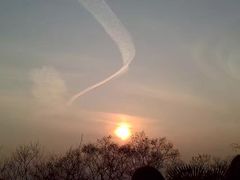 -上海佘山国家森林公园西佘山园