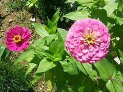 -济南国际园博园