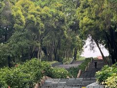 -深圳国际园林花卉博览园