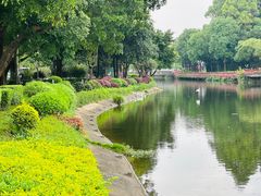 -顺峰山公园
