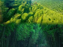 -蜀南竹海景区