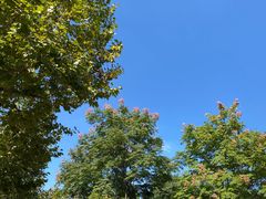 -螺世纪螺蛳粉·桂味小排档(裕德店)