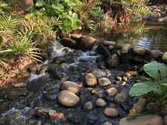 -江门古兜温泉小镇