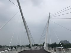 -映月湖中央公园