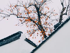 -北寺塔