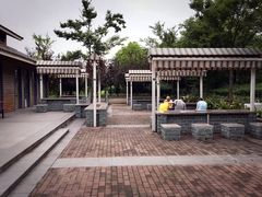 -吴淞炮台湾湿地森林公园烧烤区