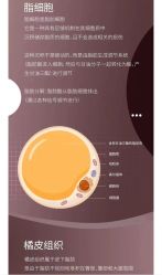-Fancy梵汐·轻奢量肤定制
