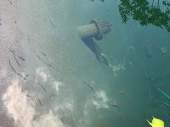 -白云源风景区