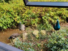 -苏州环秀晓筑养生度假村