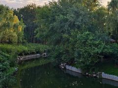 -大兴滨河森林公园