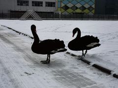 -蓝地时尚庄园(北京清河营地铁站店)