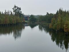 -白鹭湾湿地公园