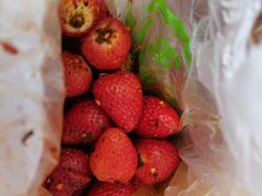 草莓-雪儿钱局泡菜
