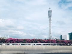 -沐渔二手奢侈品黄金手表包包回收·中古店(广州塔店)