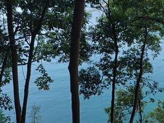 -广州市流溪河国家森林公园