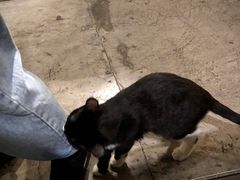 -么么咖啡(燕郊店)