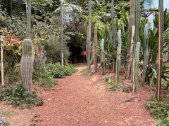 -呀路古热带植物园