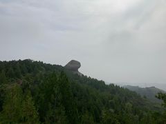 -磬锤峰森林公园