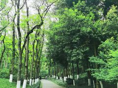 -杭州植物园