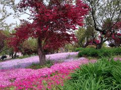 -南通洲际绿博园