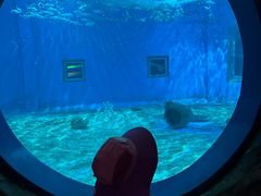 -北戴河圣蓝海洋公园