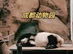 -成都动物园