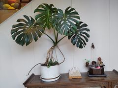 -莱蔻·圣灸堂·推拿艾灸(天山店)