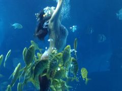 -太平洋海底世界