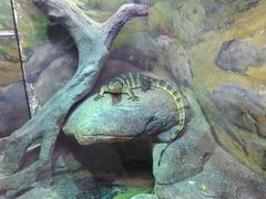 -福州罗源湾海洋世界旅游区