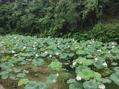 -广州莲花山旅游区