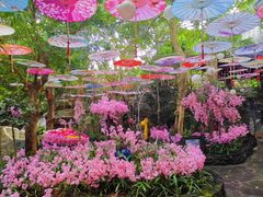 -海口观澜湖火山温泉谷