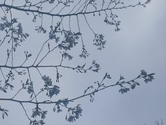 -南京东郊国宾馆