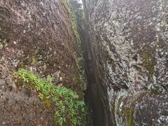-武夷山风景名胜区-虎啸岩