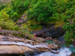 -广州白江湖森林公园