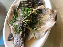 -区海鸡场饭店(石壁店)