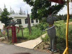 -上海长兴岛郊野公园