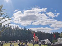 -黄海国家森林公园