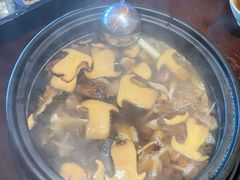 -滇野云南野生菌餐厅(陕西南路店)