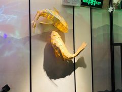 -老板恋上鱼(环山路店)