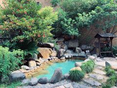 -张家港金凤凰度假村温泉
