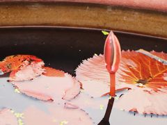 -杭州植物园