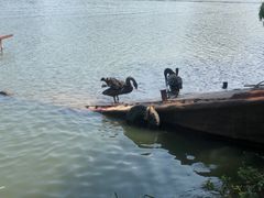 -长兴太湖图影湿地文化园
