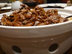 崂山菇炒鸡-船歌·鱼水饺青岛菜(闽江二路店)