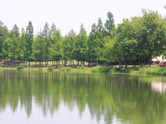 -石湖景区