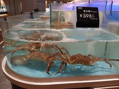 大堂-同庆楼(滨湖万达广场店)