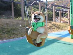 -龙寺生态园