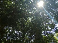 -金鸡山公园