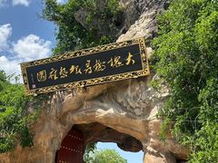 -大槐树寻根祭祖园