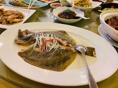 清蒸多宝鱼-鹏天阁酒楼·海鲜(红旗店)